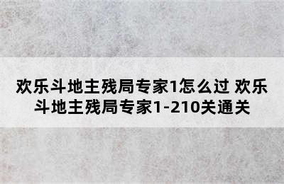 欢乐斗地主残局专家1怎么过 欢乐斗地主残局专家1-210关通关